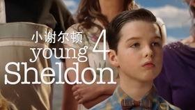 小谢耳朵在线观看,重温经典喜剧，笑对生活挑战